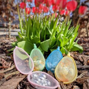 Paaseieren om te vullen